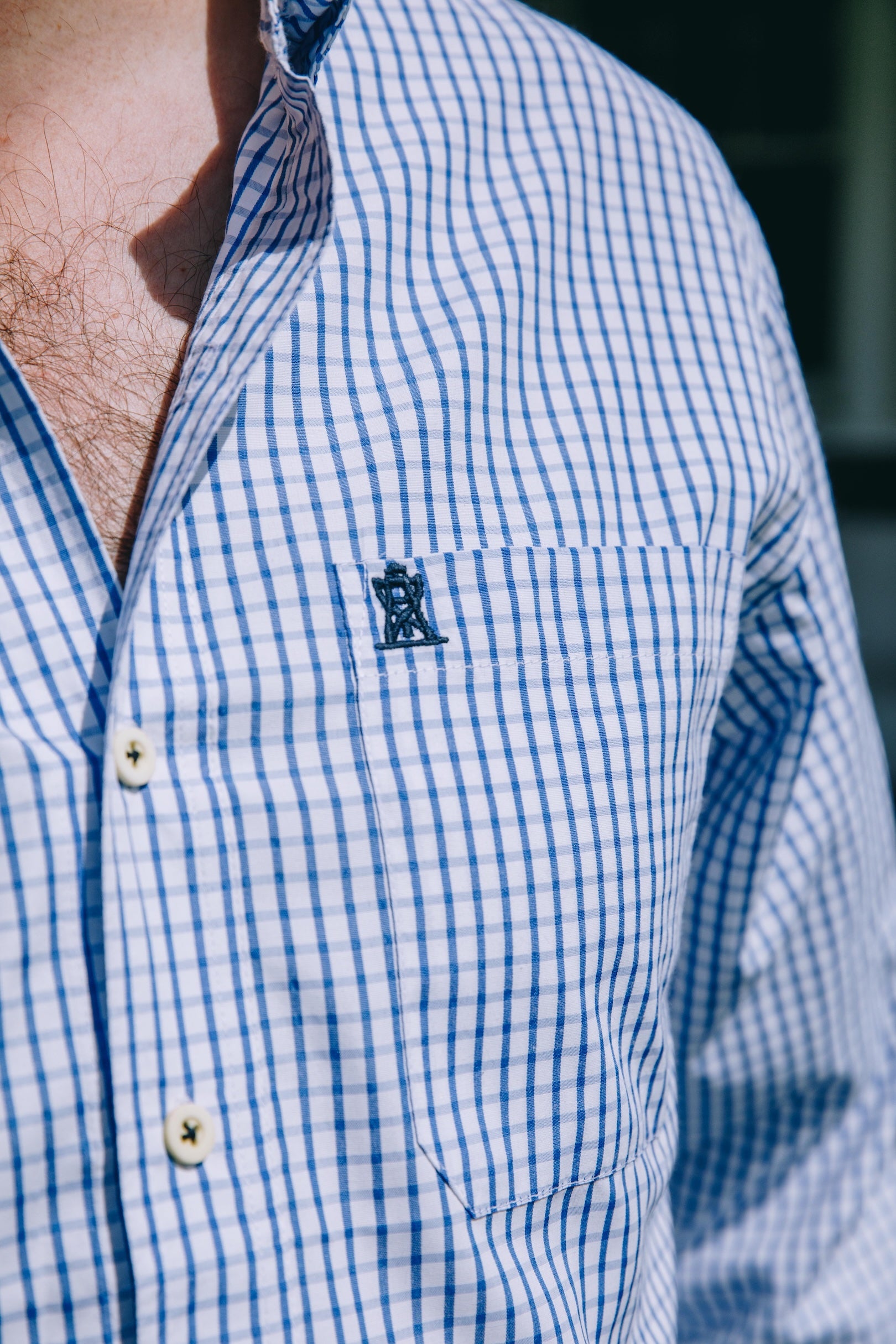 Blue Check Button Down