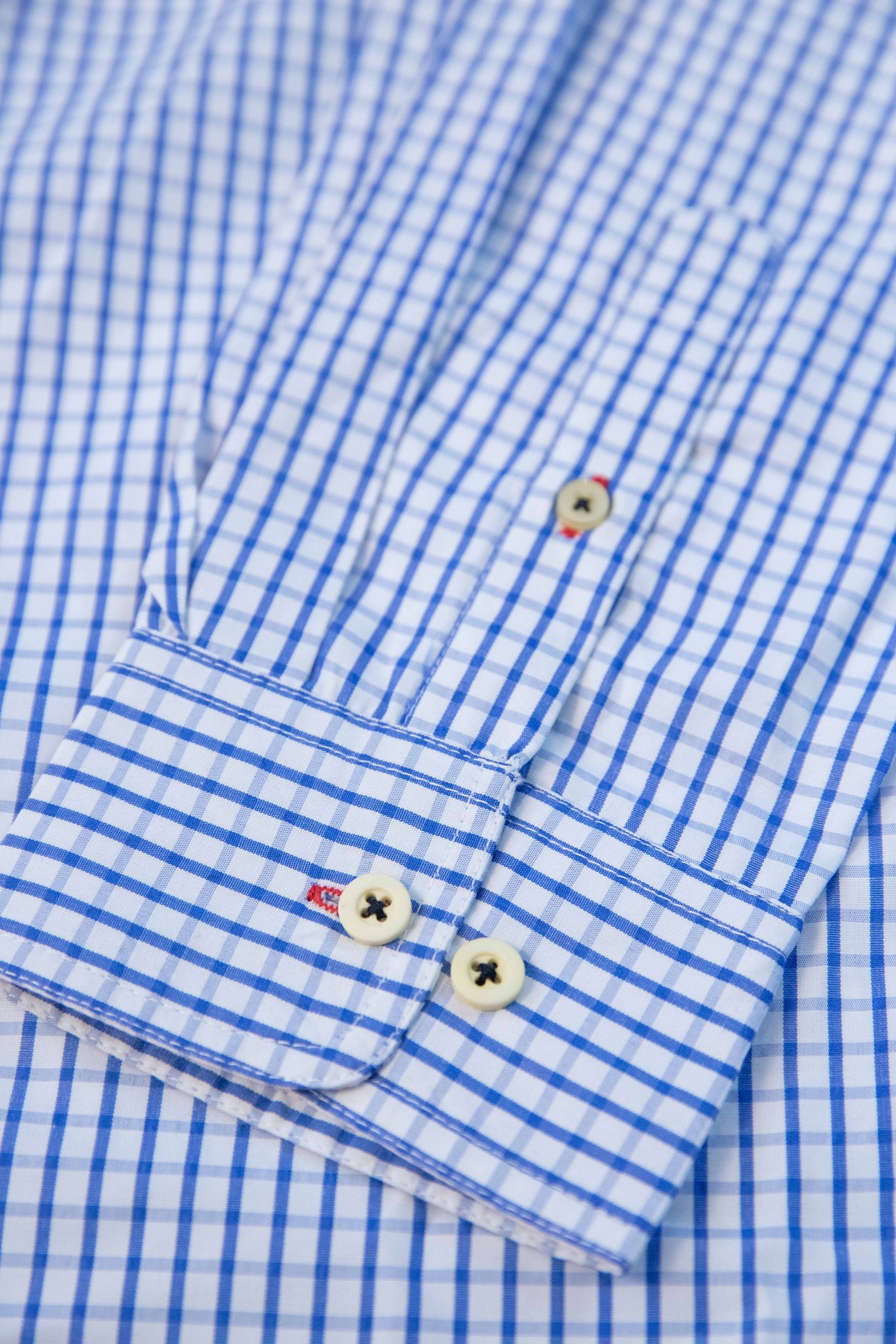 Blue Check Button Down