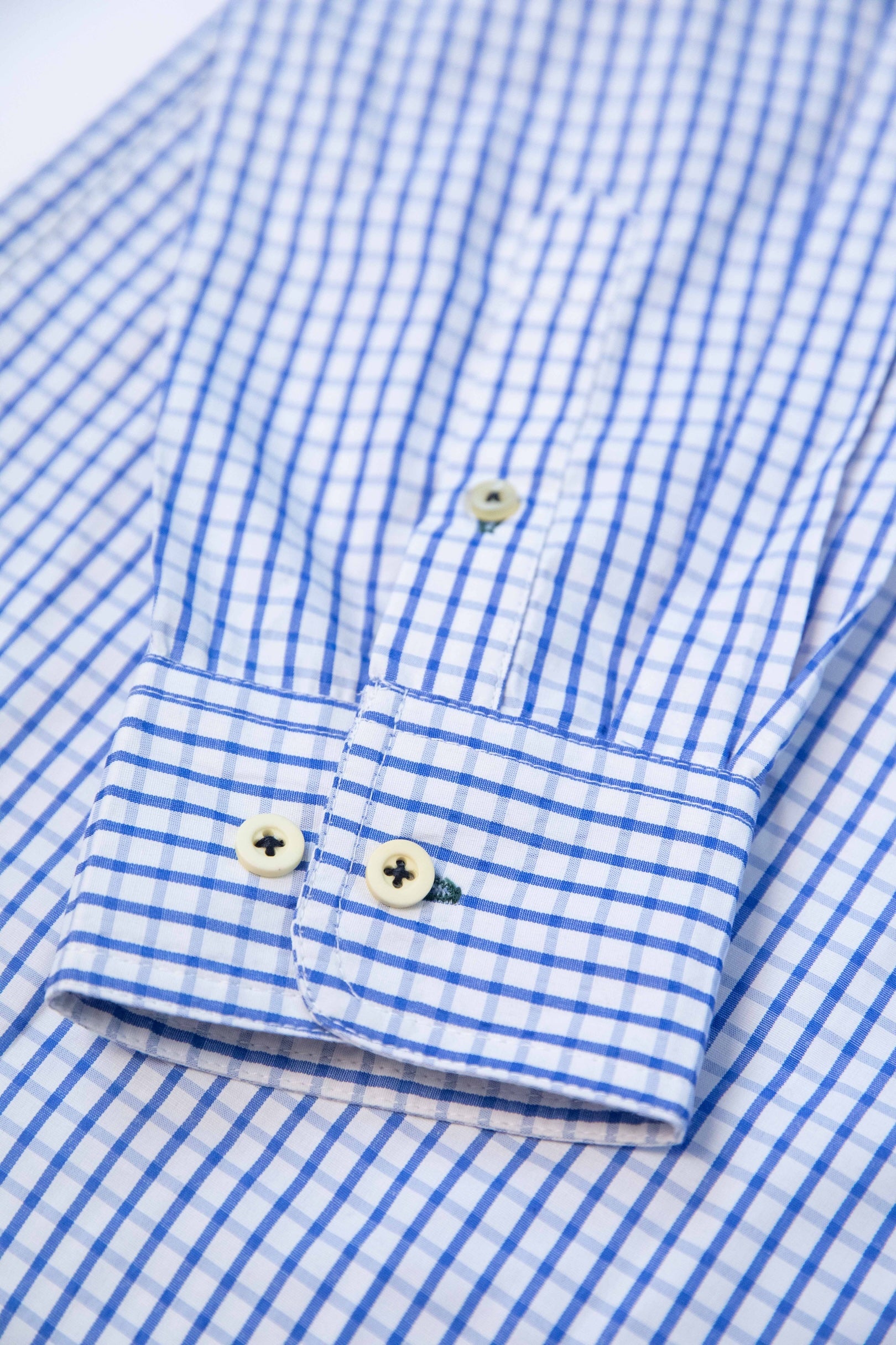 Blue Check Button Down