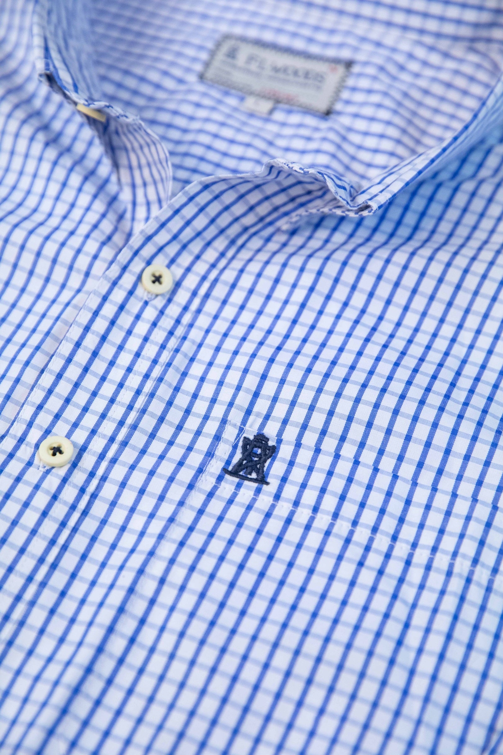 Blue Check Button Down